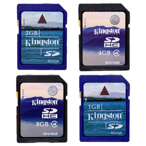 Scheda kingston - sd,